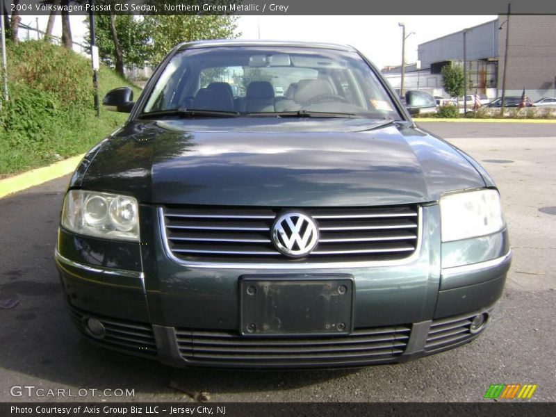 Northern Green Metallic / Grey 2004 Volkswagen Passat GLS Sedan