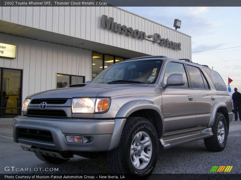 Thunder Cloud Metallic / Gray 2002 Toyota 4Runner SR5