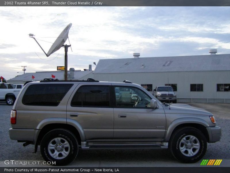 Thunder Cloud Metallic / Gray 2002 Toyota 4Runner SR5