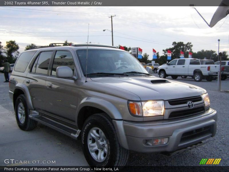 Thunder Cloud Metallic / Gray 2002 Toyota 4Runner SR5