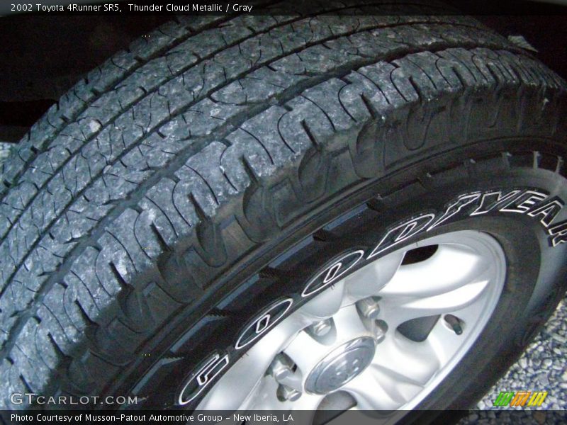 Thunder Cloud Metallic / Gray 2002 Toyota 4Runner SR5