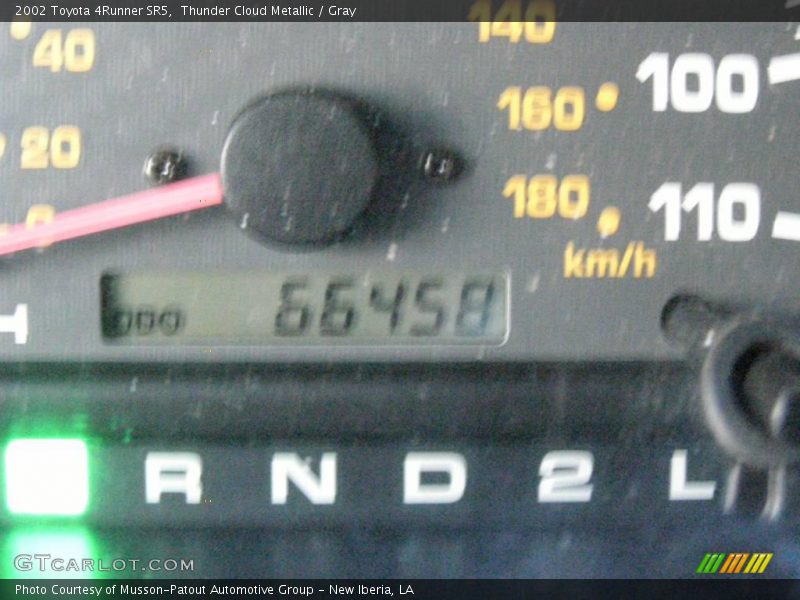 Thunder Cloud Metallic / Gray 2002 Toyota 4Runner SR5