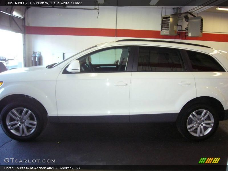 Calla White / Black 2009 Audi Q7 3.6 quattro