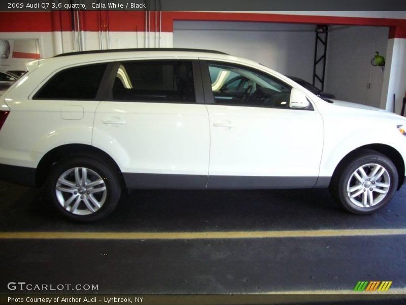 Calla White / Black 2009 Audi Q7 3.6 quattro
