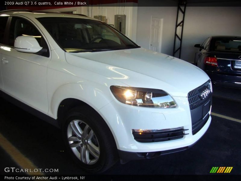 Calla White / Black 2009 Audi Q7 3.6 quattro