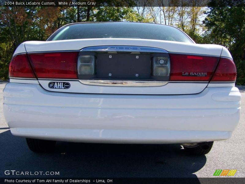 White / Medium Gray 2004 Buick LeSabre Custom