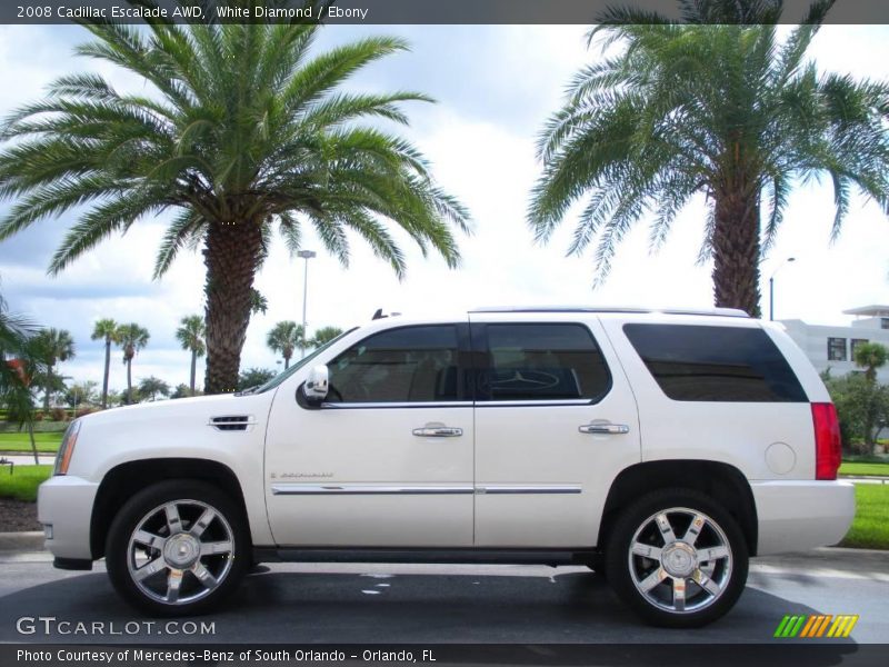 White Diamond / Ebony 2008 Cadillac Escalade AWD