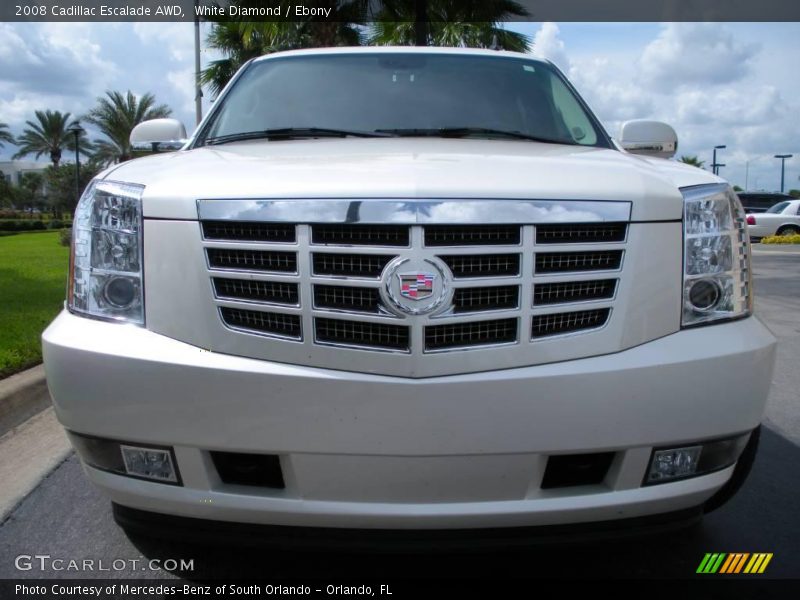 White Diamond / Ebony 2008 Cadillac Escalade AWD
