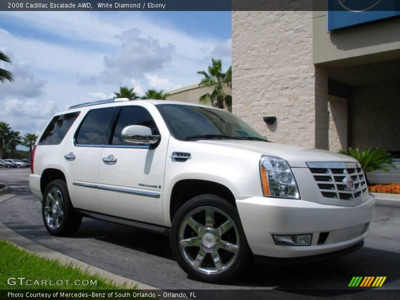 White Diamond / Ebony 2008 Cadillac Escalade AWD