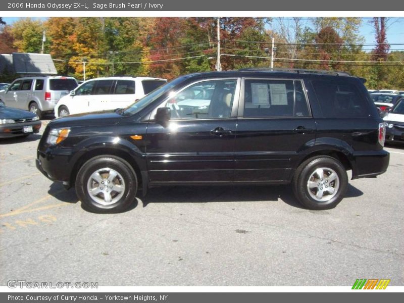 Sage Brush Pearl / Ivory 2006 Honda Odyssey EX-L