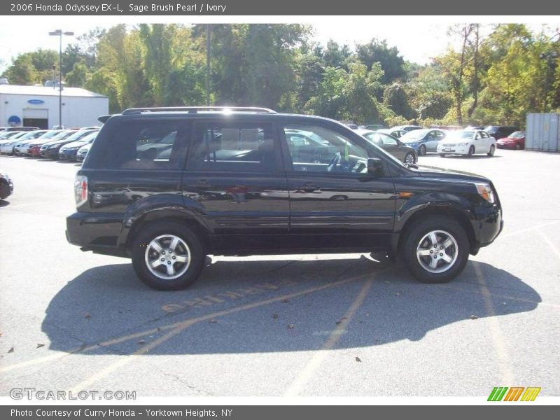 Sage Brush Pearl / Ivory 2006 Honda Odyssey EX-L