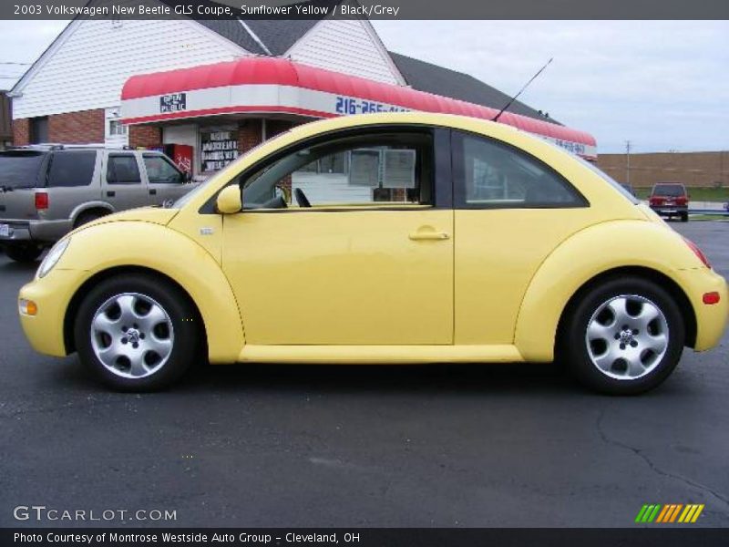 Sunflower Yellow / Black/Grey 2003 Volkswagen New Beetle GLS Coupe