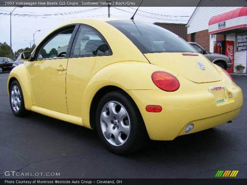 Sunflower Yellow / Black/Grey 2003 Volkswagen New Beetle GLS Coupe