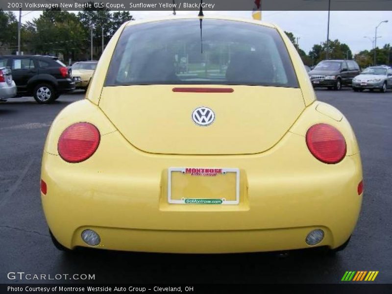 Sunflower Yellow / Black/Grey 2003 Volkswagen New Beetle GLS Coupe