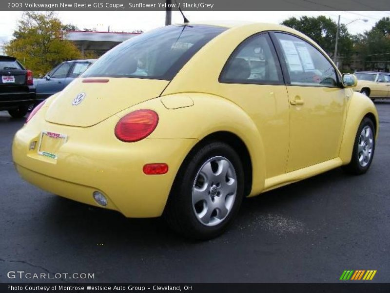 Sunflower Yellow / Black/Grey 2003 Volkswagen New Beetle GLS Coupe
