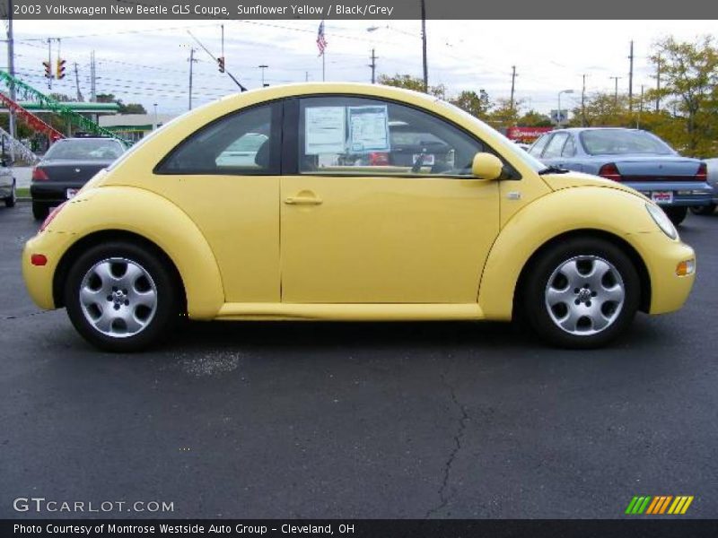 Sunflower Yellow / Black/Grey 2003 Volkswagen New Beetle GLS Coupe