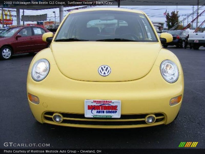 Sunflower Yellow / Black/Grey 2003 Volkswagen New Beetle GLS Coupe