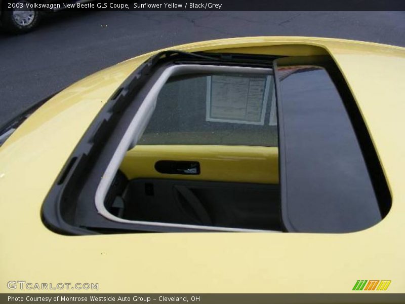 Sunflower Yellow / Black/Grey 2003 Volkswagen New Beetle GLS Coupe