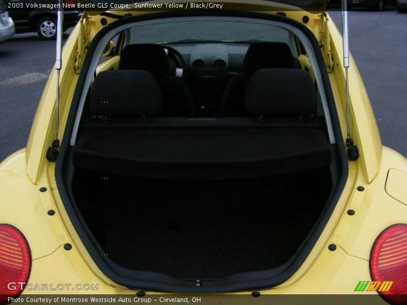 Sunflower Yellow / Black/Grey 2003 Volkswagen New Beetle GLS Coupe