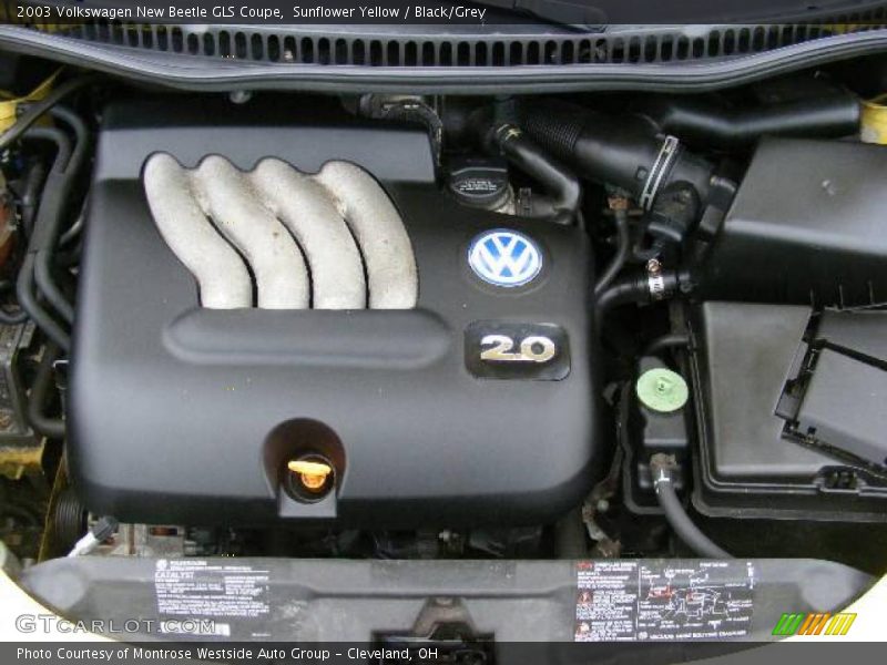 Sunflower Yellow / Black/Grey 2003 Volkswagen New Beetle GLS Coupe