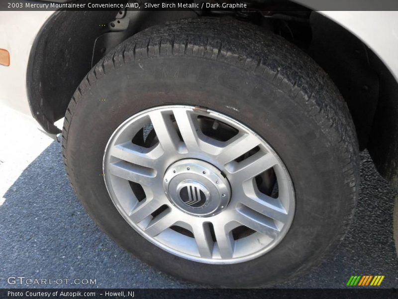 Silver Birch Metallic / Dark Graphite 2003 Mercury Mountaineer Convenience AWD