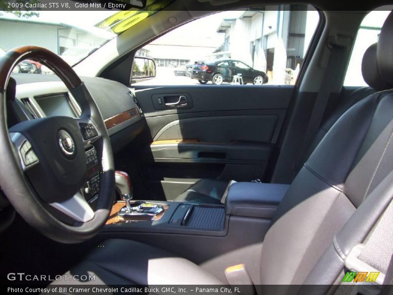 Gold Mist / Ebony 2009 Cadillac STS V8