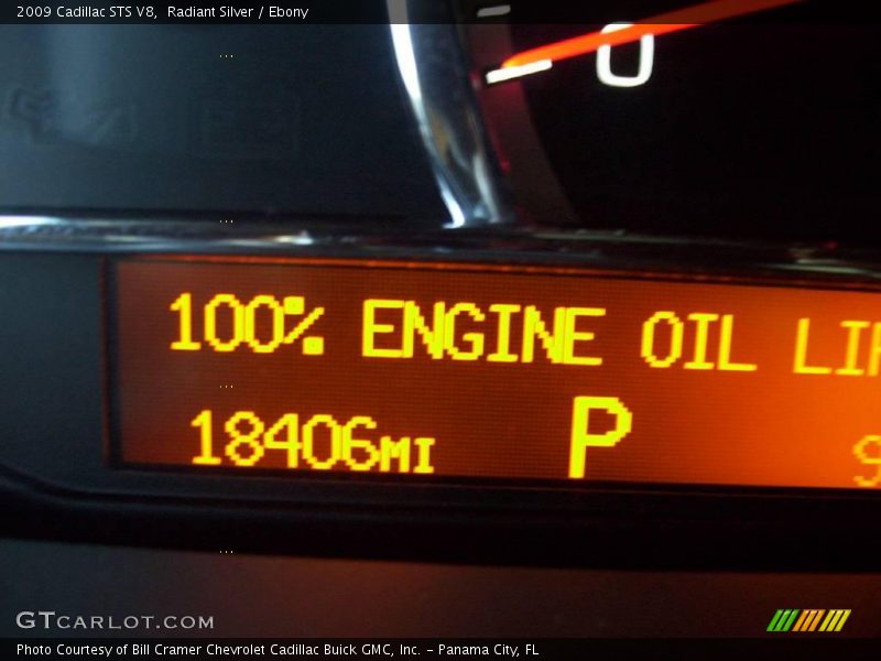 Radiant Silver / Ebony 2009 Cadillac STS V8