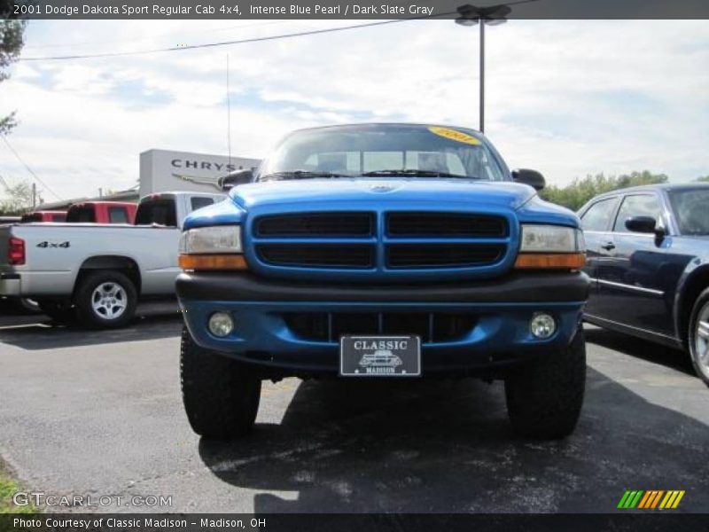 Intense Blue Pearl / Dark Slate Gray 2001 Dodge Dakota Sport Regular Cab 4x4