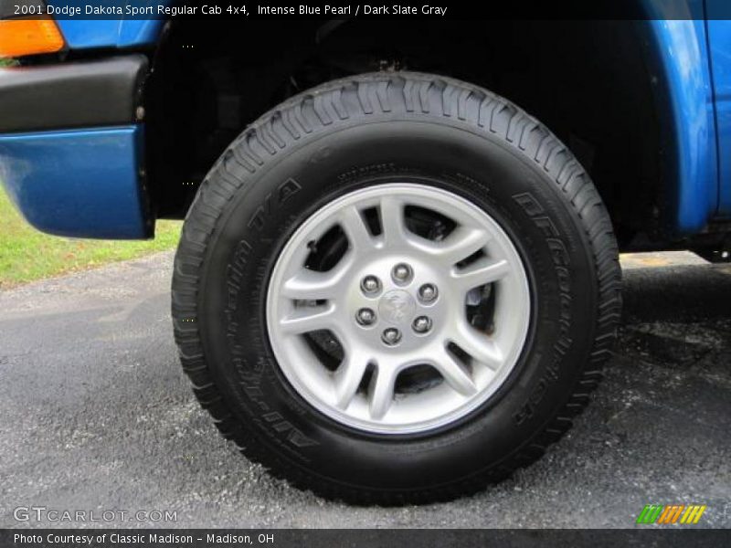 Intense Blue Pearl / Dark Slate Gray 2001 Dodge Dakota Sport Regular Cab 4x4