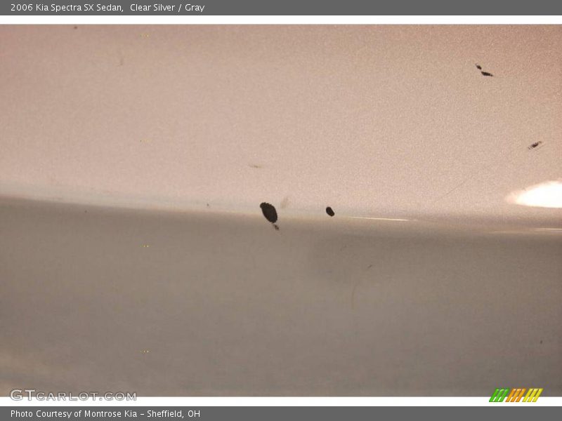 Clear Silver / Gray 2006 Kia Spectra SX Sedan