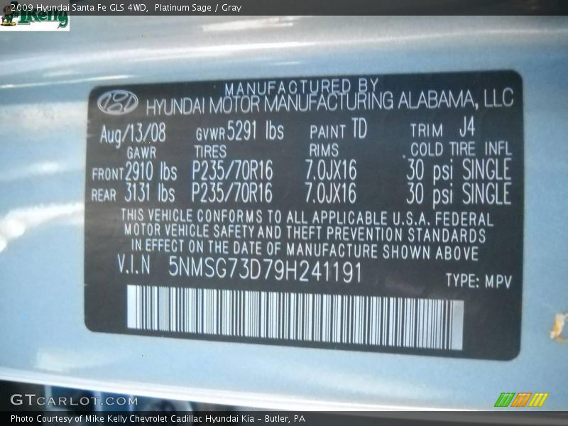 2009 Santa Fe GLS 4WD Platinum Sage Color Code TD