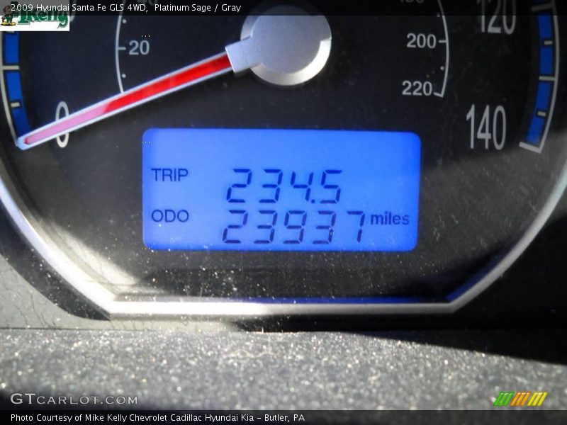 Platinum Sage / Gray 2009 Hyundai Santa Fe GLS 4WD