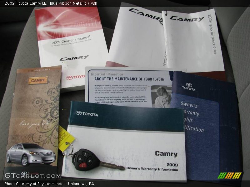Blue Ribbon Metallic / Ash 2009 Toyota Camry LE