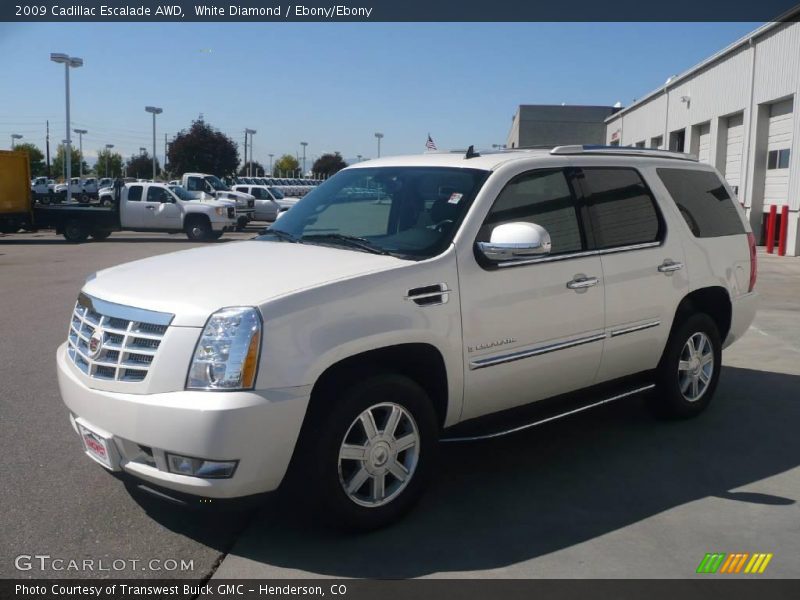 White Diamond / Ebony/Ebony 2009 Cadillac Escalade AWD