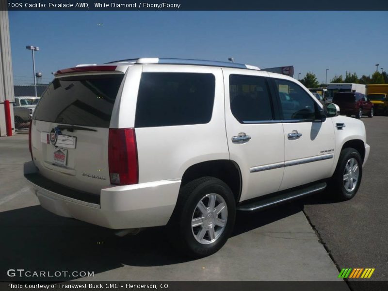 White Diamond / Ebony/Ebony 2009 Cadillac Escalade AWD