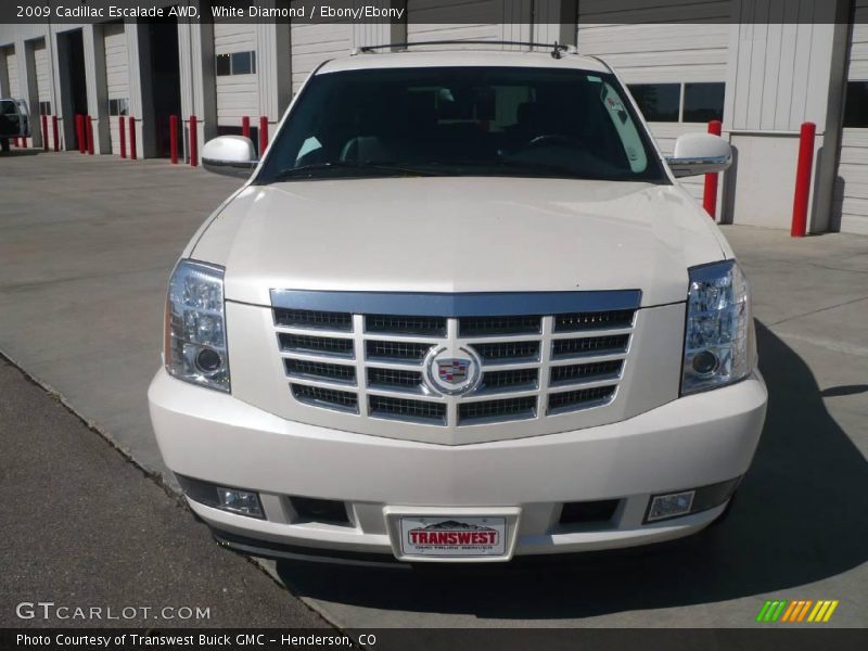 White Diamond / Ebony/Ebony 2009 Cadillac Escalade AWD