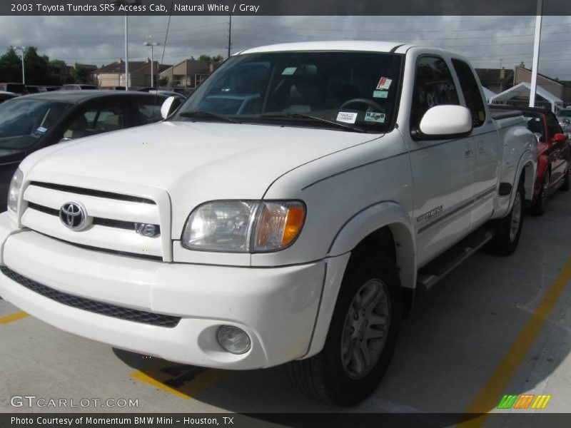 Natural White / Gray 2003 Toyota Tundra SR5 Access Cab