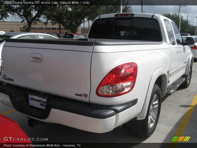 Natural White / Gray 2003 Toyota Tundra SR5 Access Cab