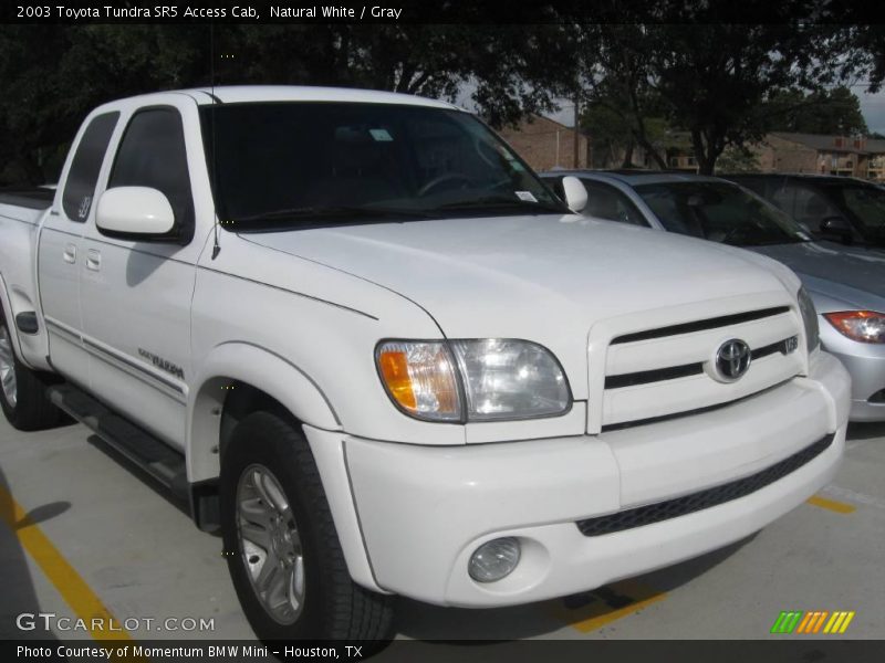 Natural White / Gray 2003 Toyota Tundra SR5 Access Cab