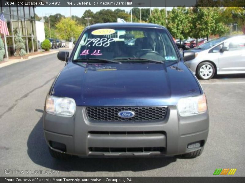 True Blue Metallic / Medium/Dark Flint 2004 Ford Escape XLS V6 4WD