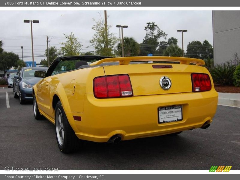 Screaming Yellow / Dark Charcoal 2005 Ford Mustang GT Deluxe Convertible