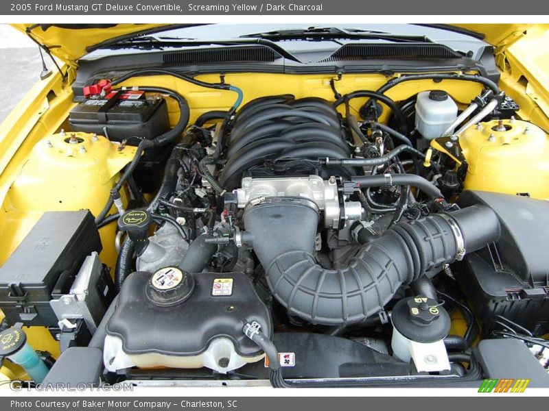 Screaming Yellow / Dark Charcoal 2005 Ford Mustang GT Deluxe Convertible