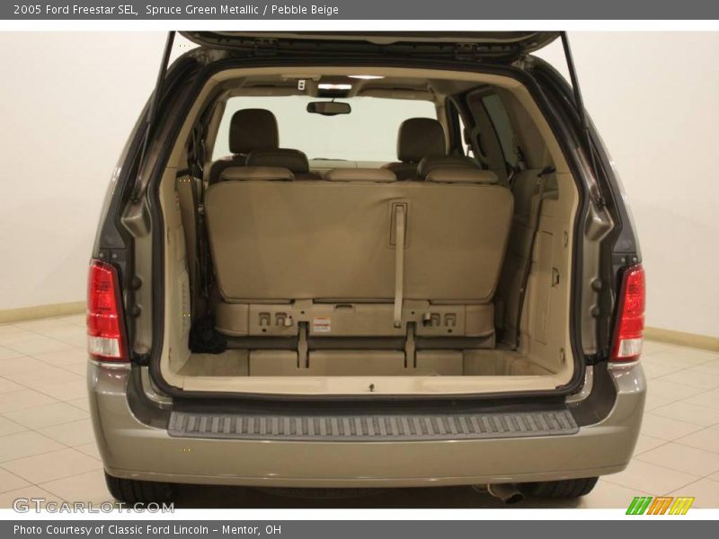 Spruce Green Metallic / Pebble Beige 2005 Ford Freestar SEL