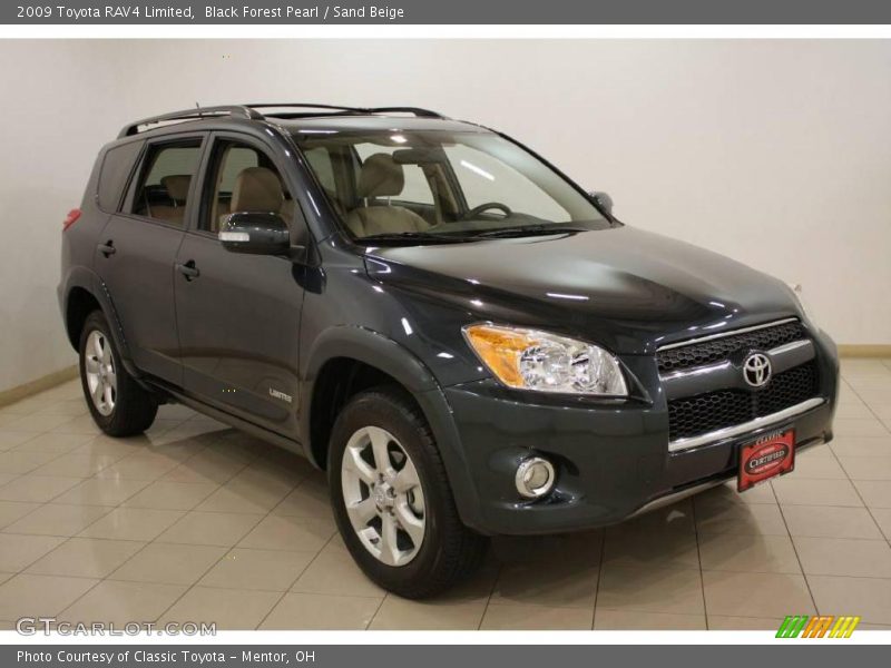 Black Forest Pearl / Sand Beige 2009 Toyota RAV4 Limited