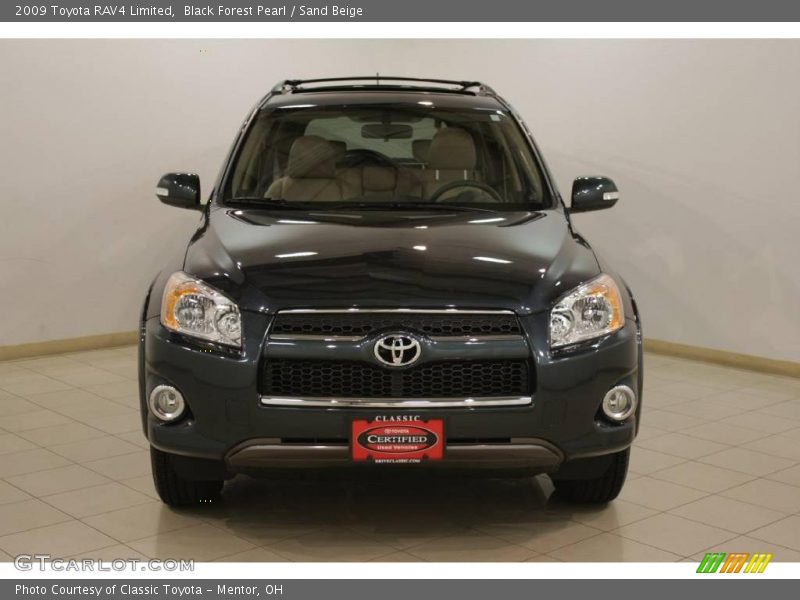 Black Forest Pearl / Sand Beige 2009 Toyota RAV4 Limited