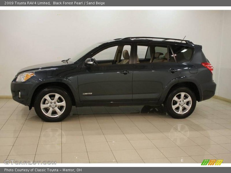 Black Forest Pearl / Sand Beige 2009 Toyota RAV4 Limited
