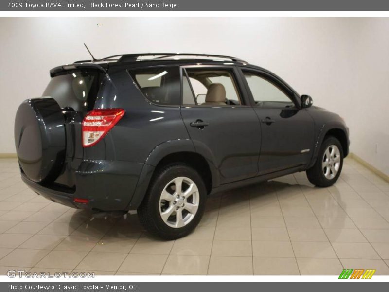 Black Forest Pearl / Sand Beige 2009 Toyota RAV4 Limited