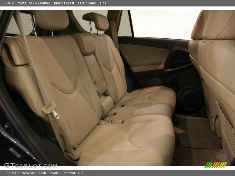 Black Forest Pearl / Sand Beige 2009 Toyota RAV4 Limited