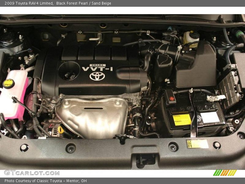 Black Forest Pearl / Sand Beige 2009 Toyota RAV4 Limited