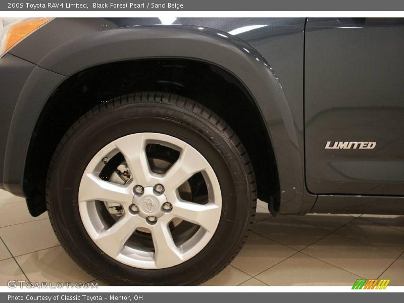 Black Forest Pearl / Sand Beige 2009 Toyota RAV4 Limited